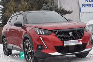 Peugeot 2008 SUV 2020