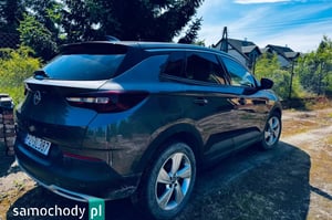 Opel Grandland X SUV 2019