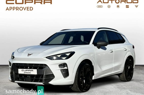 Cupra Terramar SUV 2024