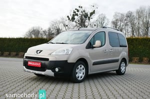 Peugeot Partner Minivan 2010
