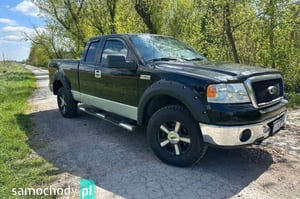 Ford F150 Pickup 2006