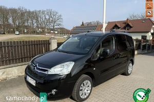 Citroen Berlingo Minivan 2010