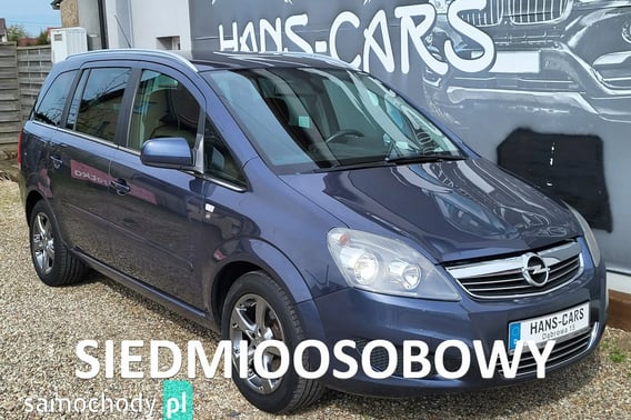 Opel Zafira Minivan 2010