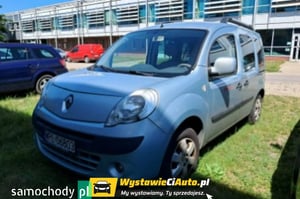 Renault Kangoo Minivan 2010