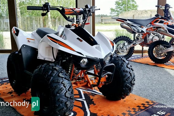KAWASAKI Inny Quad 2024