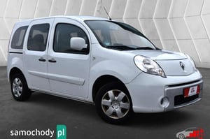 Renault Kangoo Minivan 2010