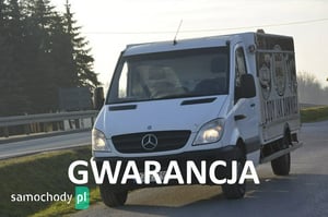 Mercedes-Benz Sprinter Chłodnia/Izoterma 2009