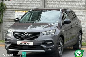 Opel Grandland X SUV 2021