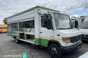 Mercedes-Benz inny Inne 2008