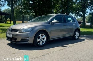Volkswagen Golf Liftback 2013