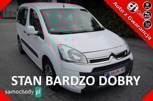 Citroen Berlingo Minivan 2012