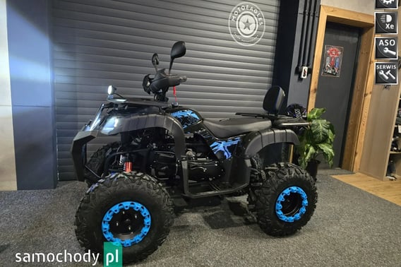 TRIUMPH Inny Quad 2026