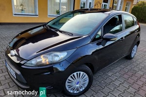 Ford Fiesta Crossover 2009