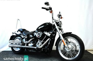 HARLEY-DAVIDSON Softail Cruiser 2021
