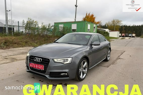 Audi A5 Liftback 2013
