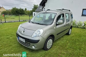 Renault Kangoo Minivan 2010