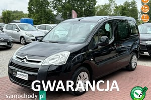 Citroen Berlingo Minivan 2011