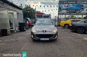 Peugeot 407 Sedan 2004