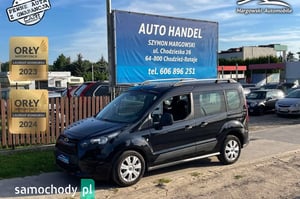 Ford Tourneo Connect Minivan 2014