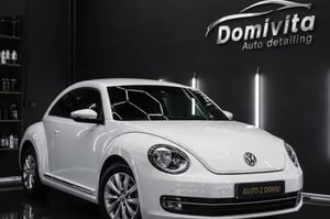 Volkswagen Beetle Coupe 2013