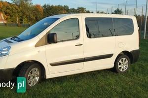 Peugeot Expert Mikrobus 2010