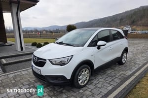 Opel Crossland X Crossover 2019
