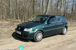 Volkswagen Polo Hatchback 2001