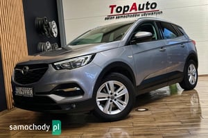 Opel Grandland X SUV 2019