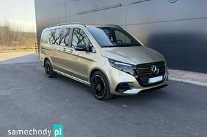 Mercedes-Benz Vaneo Minivan 2024