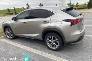 Lexus NX SUV 2020
