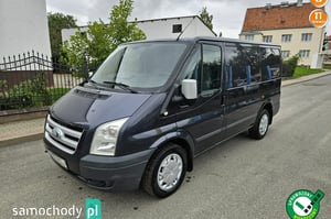Ford Transit Furgon 2010