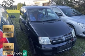 Fiat Panda Crossover 2007