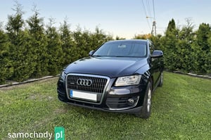 Audi Q5 SUV 2010