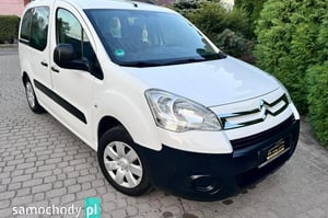 Citroen Berlingo Minivan 2010