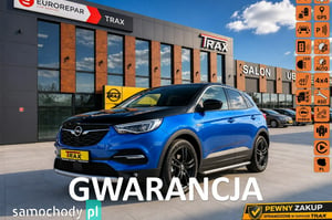 Opel Grandland X SUV 2020