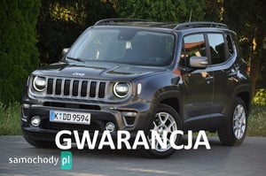 Jeep Renegade SUV 2019