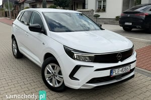 Opel Grandland X Sedan 2023