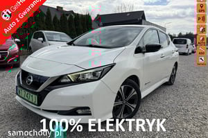 Nissan Leaf Hatchback 2019