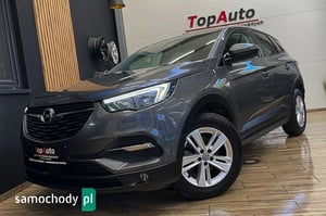Opel Grandland X SUV 2019