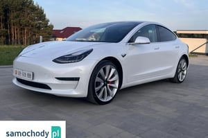 Tesla Model 3 Sedan 2019
