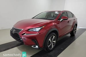 Lexus NX SUV 2021