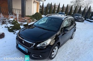 Peugeot 2008 Minivan 2019