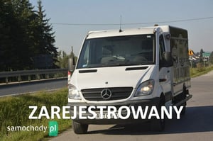 Mercedes-Benz Sprinter Chłodnia/Izoterma 2008