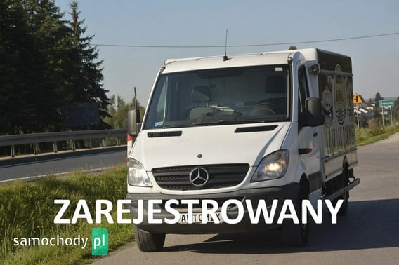 Mercedes-Benz Sprinter Chłodnia/Izoterma 2008