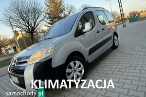Citroen Berlingo Minivan 2009