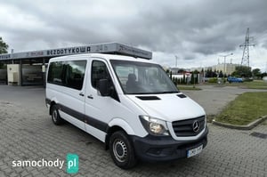 Mercedes-Benz Sprinter Minivan 2017