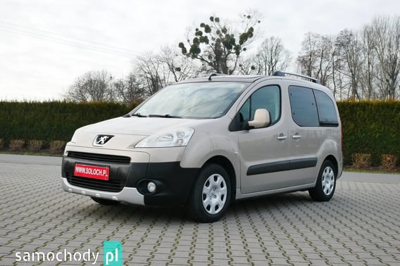 Peugeot Partner Minivan 2010
