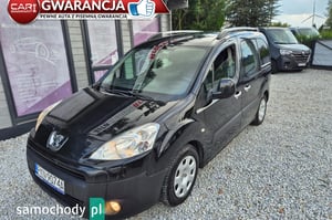 Peugeot Partner Minivan 2009