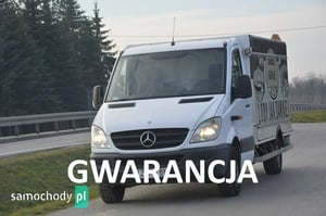 Mercedes-Benz Sprinter Chłodnia/Izoterma 2009