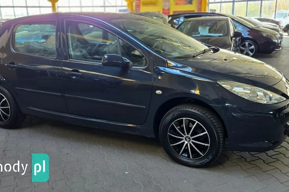 Peugeot 307 Hatchback 2006